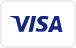 Visa Payment